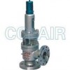 A40Y-64C，A40Y-64I，A40Y-100C，A40Y-100I，帶封閉散熱器彈簧全啟式安全閥