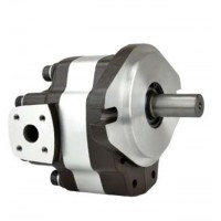 G5-5,G5-6,G5-8,G5-12-1E13S-20-R,G5-10,G5-12,G5-16,G5-30-1E13S-20R，G5-20,G5-25,G5-30,G5-25-A13S-20-R，單聯(lián)齒輪泵