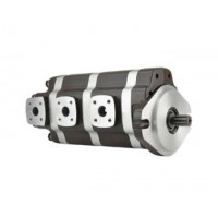 G5-25-20-12-08-1E13S-20L，G5-12-8-6-AH15S-20-L，G5-8-8-10-1E13S-20R,G5-25-10-10-1E13S-20R，多聯(lián)高壓齒輪泵